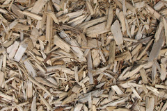 biomass boilers Bolsover